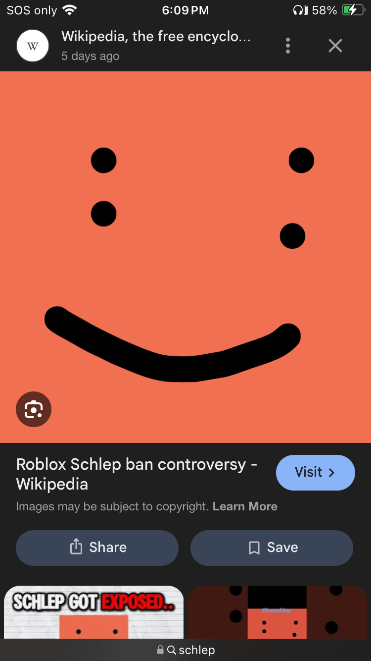 FREE SCHLEP PLEASE logo