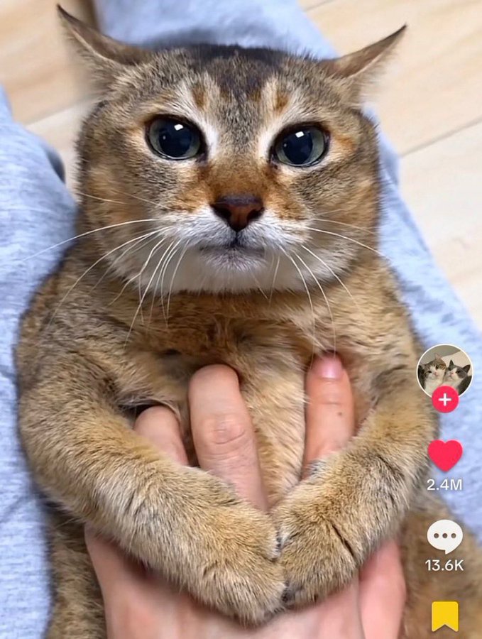 autistic people logo