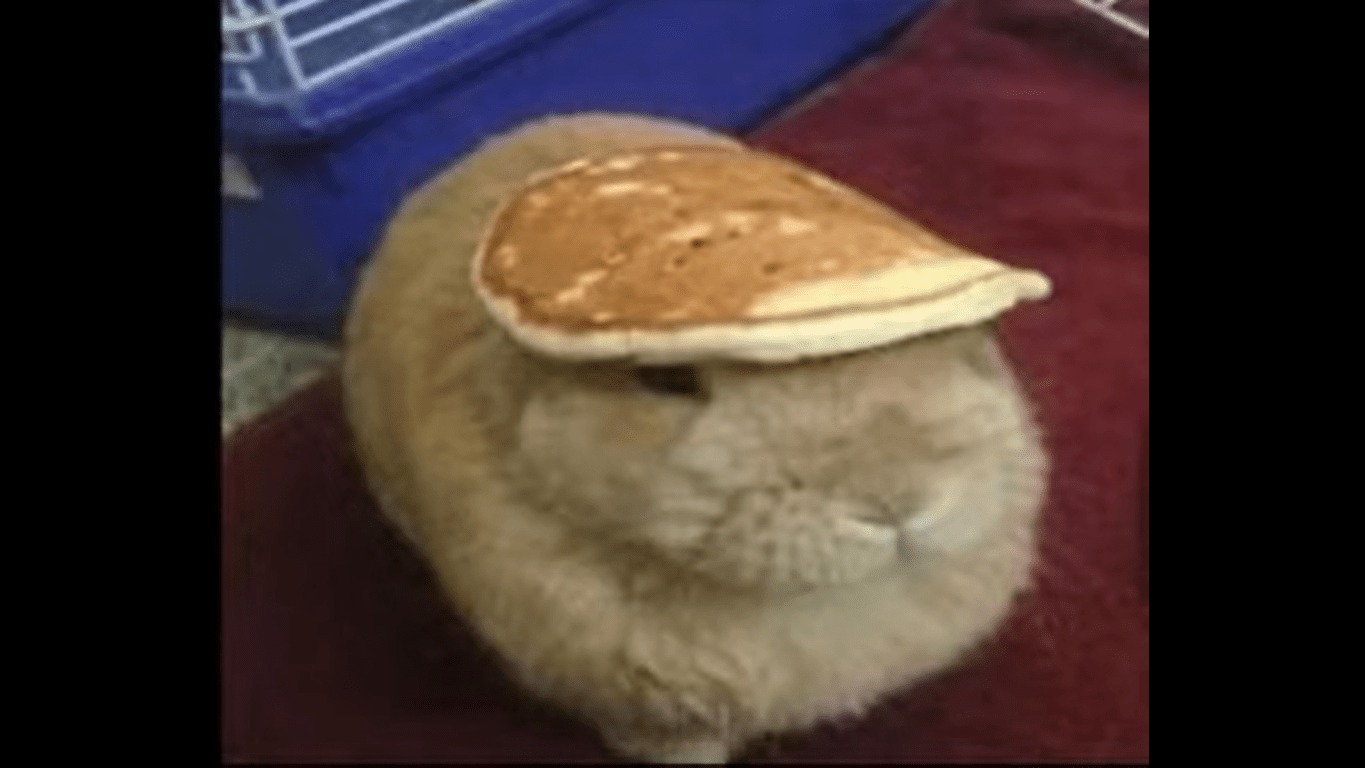 Purged_2114_uXZPSz logo