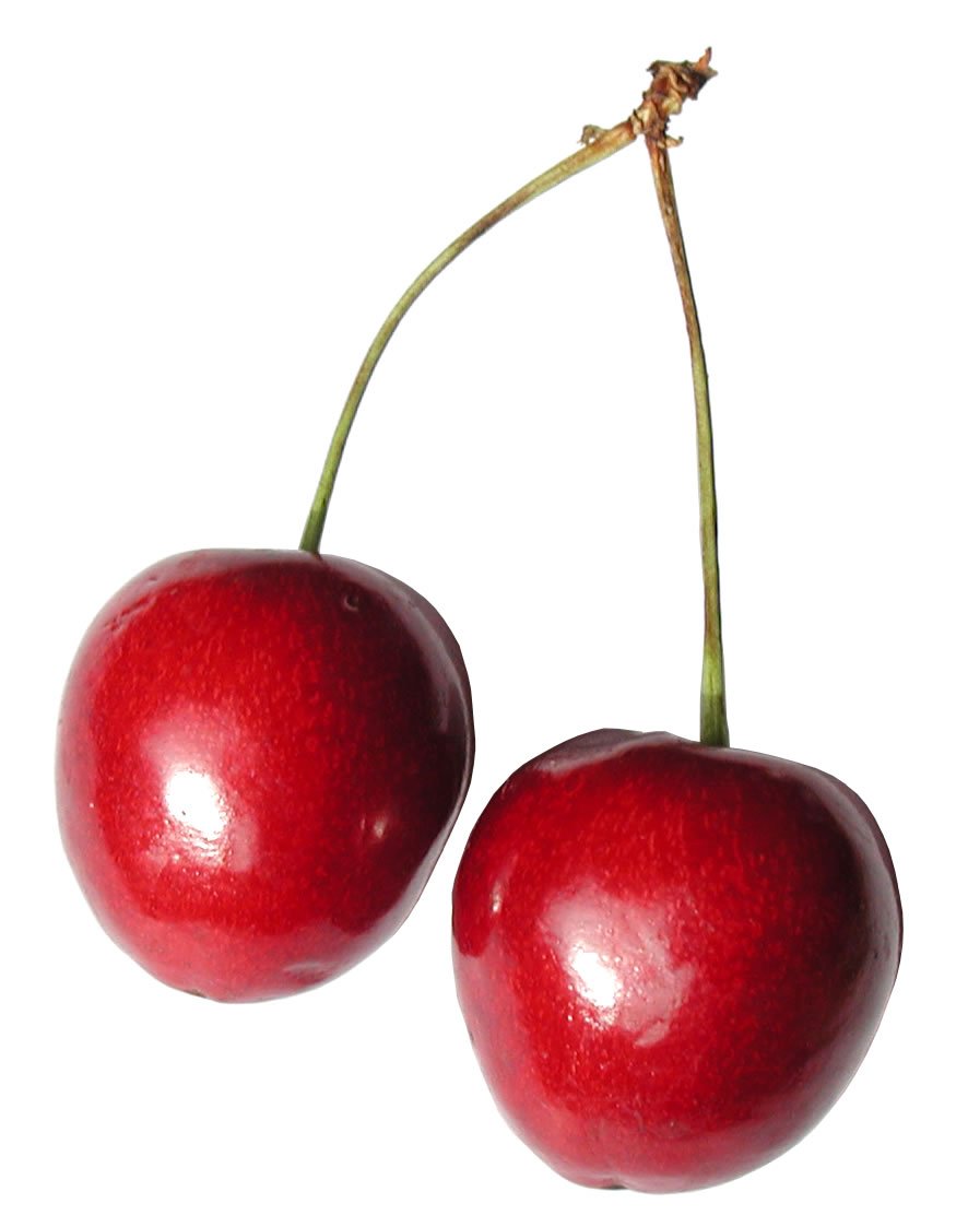 Cherry Lovers logo