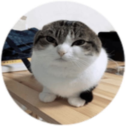 Rich People Group logo