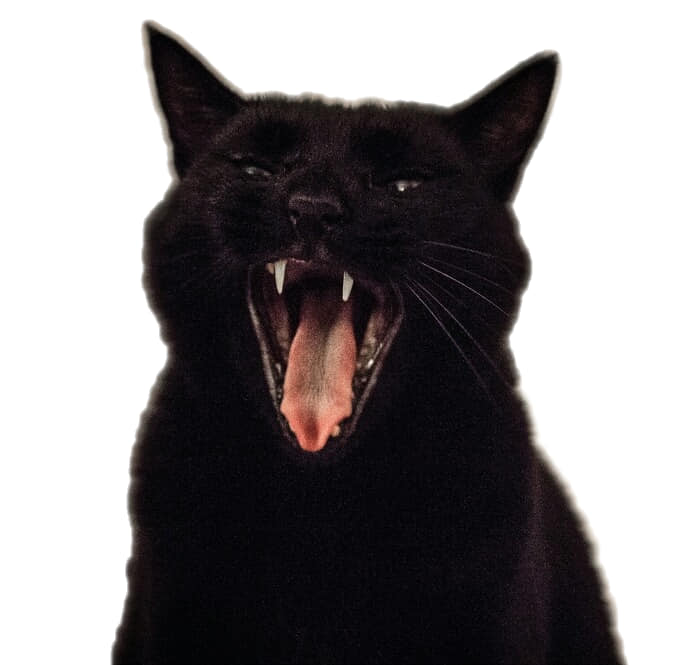 grippy sock jail logo