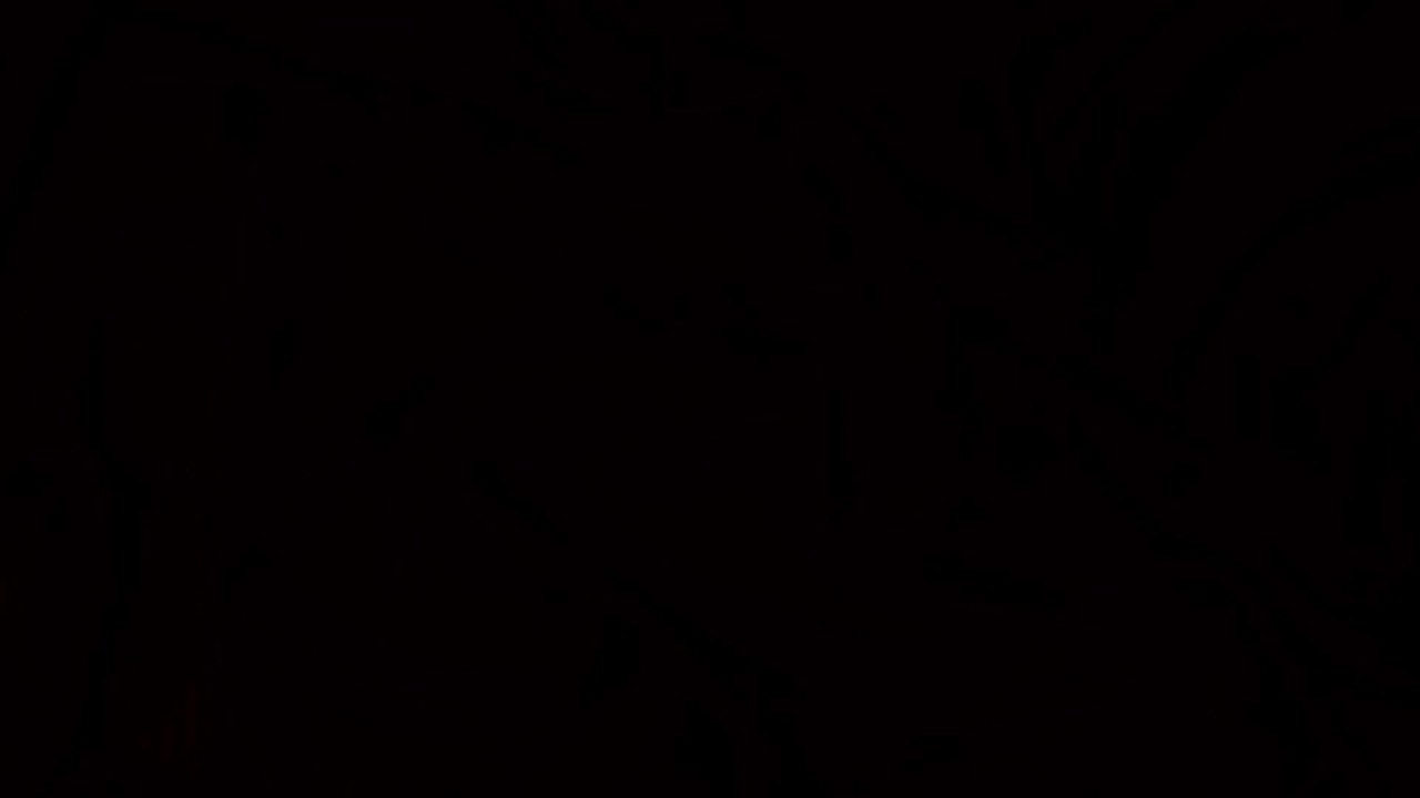 Fans of Brick Planet logo