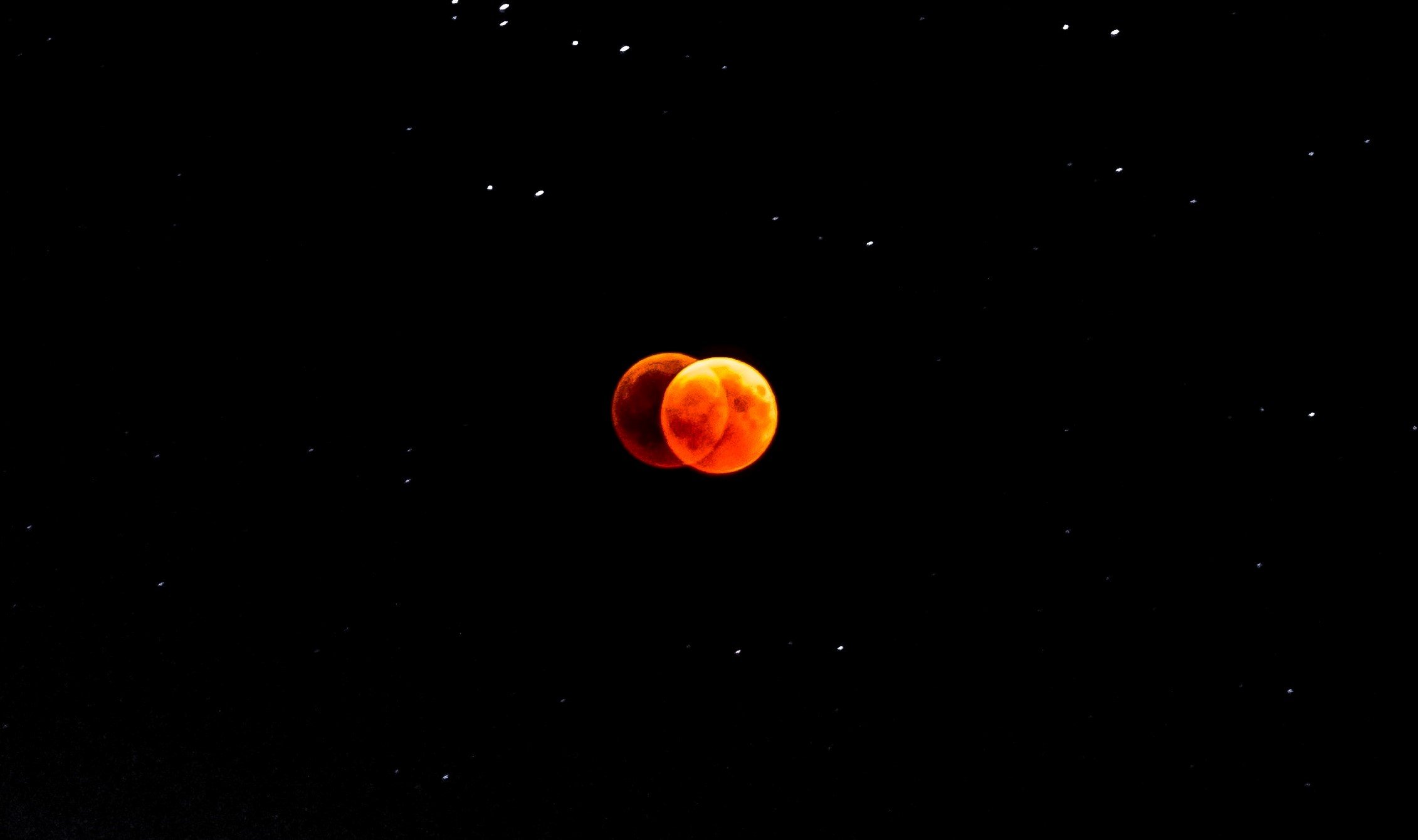 Turner Enterprises logo