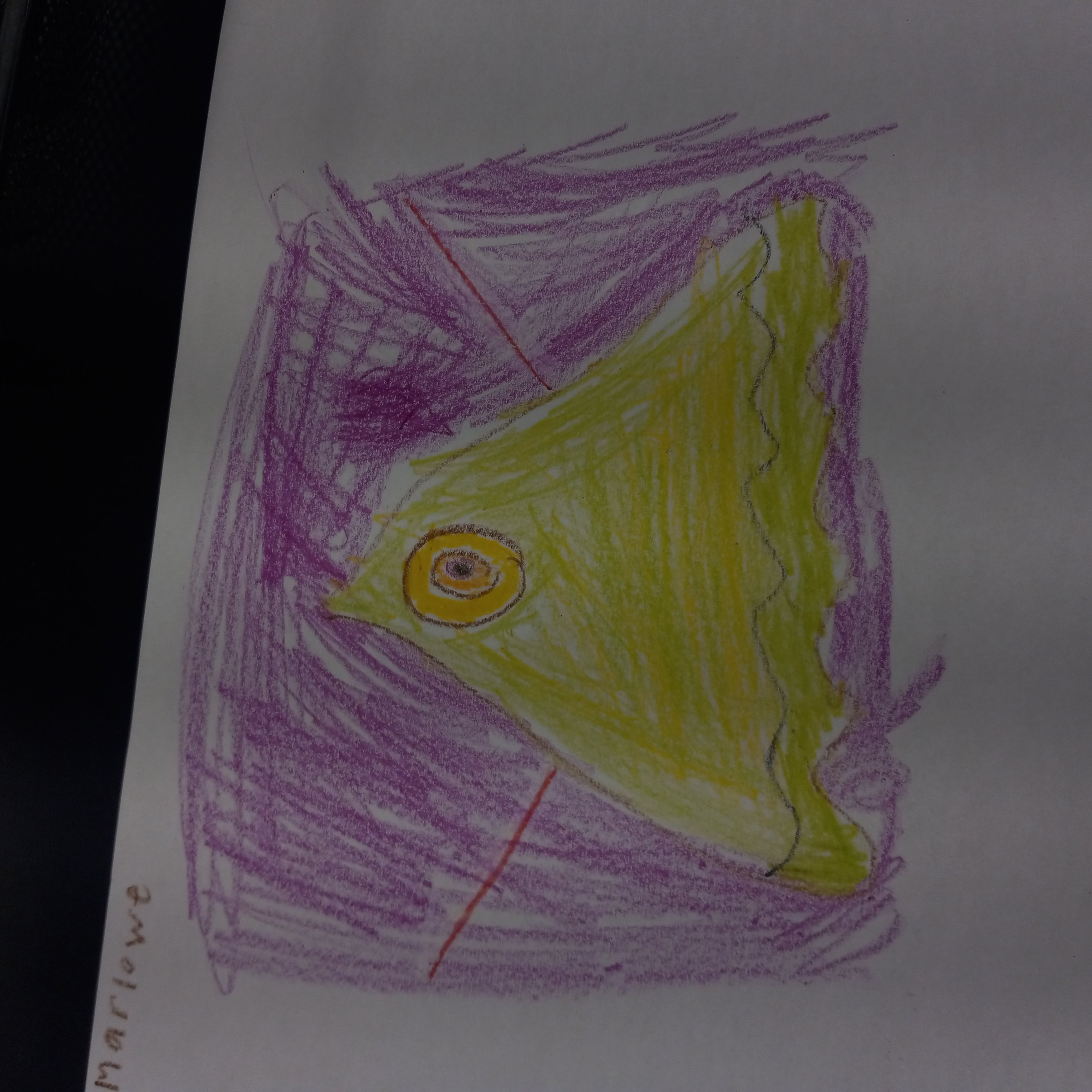 The Vikings [TEST GUILD] logo