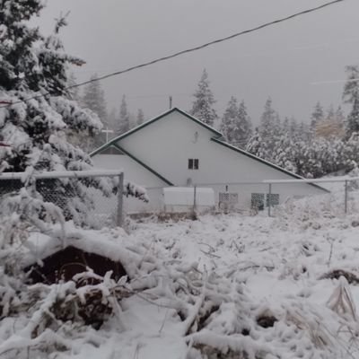 Purged_114_IGcdI2 logo