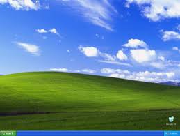 Windows xp logo