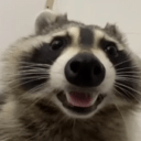 Raccoon's Guild logo