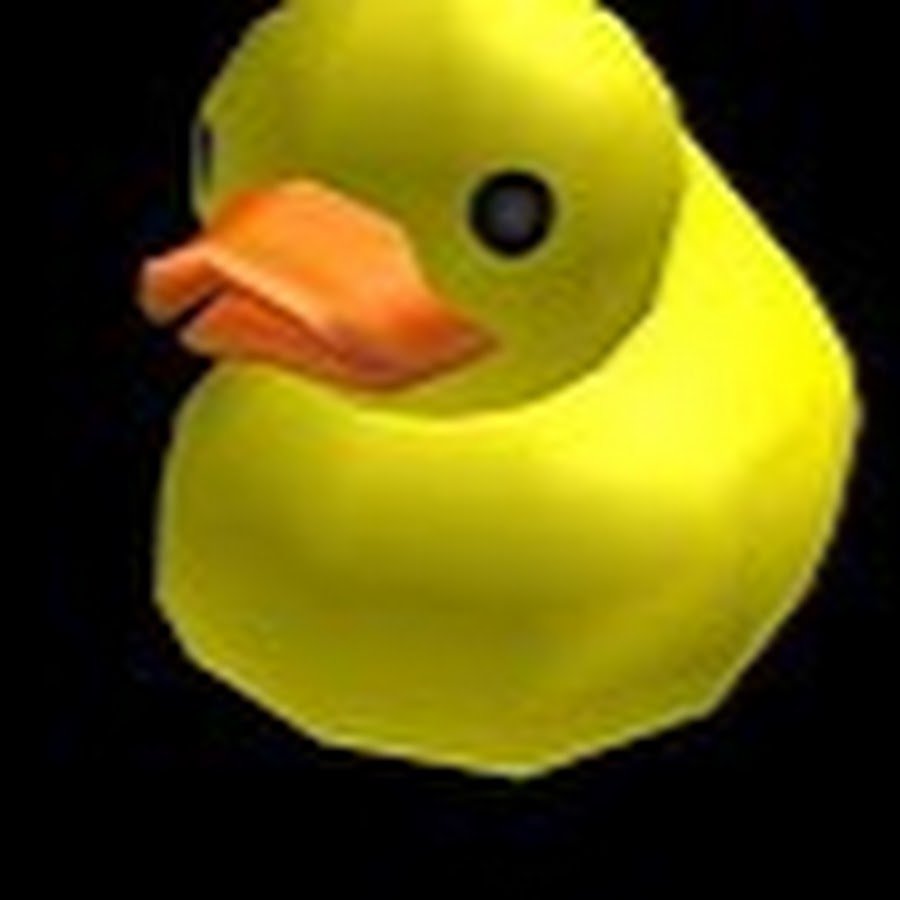 Duck Squad logo