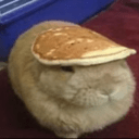 evil planning studio logo