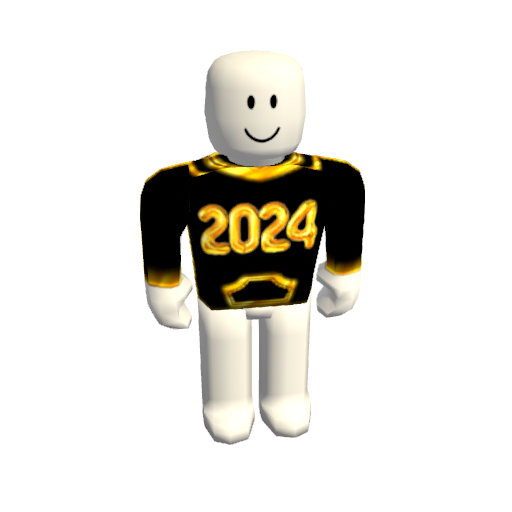 Hoodie 2024